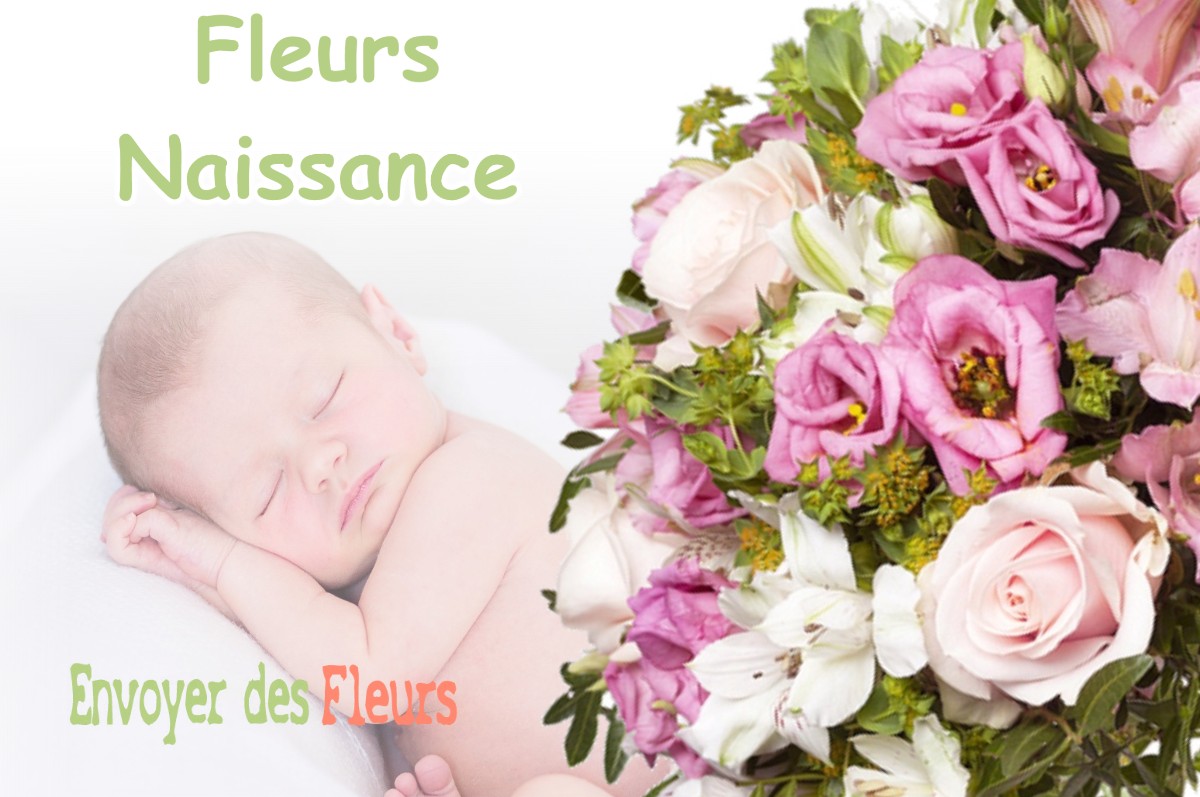 lIVRAISON FLEURS NAISSANCE à BRIXEY-AUX-CHANOINES